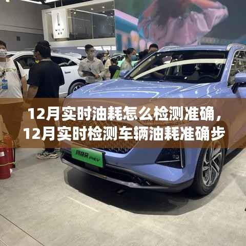 12月实时检测车辆油耗的准确步骤指南