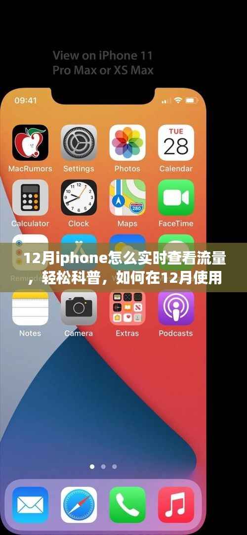 iPhone实时查看流量消耗,轻松科普指南