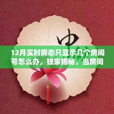 独家揭秘,如何应对十二月实时房态房间号神秘消失,友情与家的温暖照亮寒冬之旅