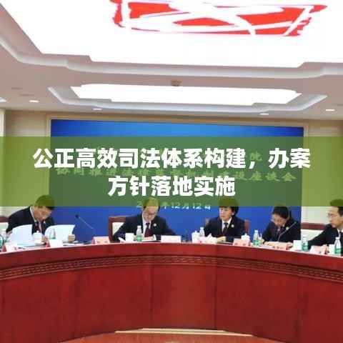 公正高效司法体系构建,办案方针落地实施