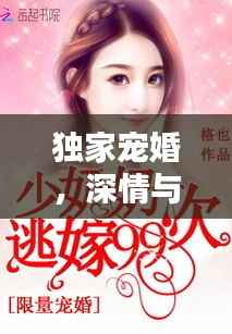 独家宠婚,深情与承诺的绝美演绎