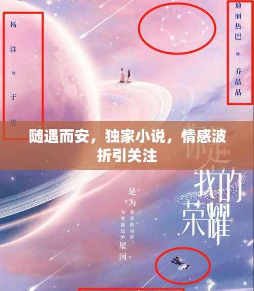 随遇而安，独家小说，情感波折引关注