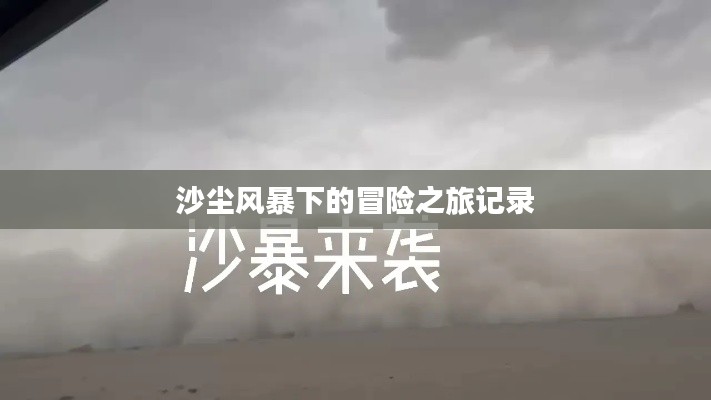 沙尘风暴下的冒险之旅记录