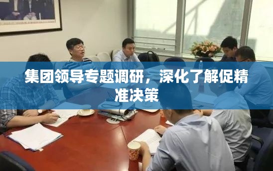 集团领导专题调研,深化了解促精准决策