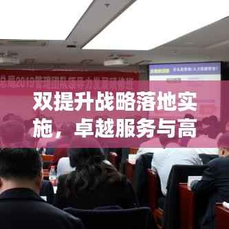 双提升战略落地实施,卓越服务与高效管理的关键路径