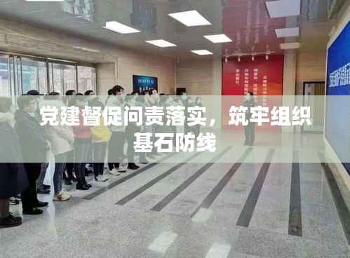 党建督促问责落实,筑牢组织基石防线