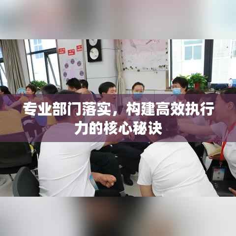 专业部门落实,构建高效执行力的核心秘诀
