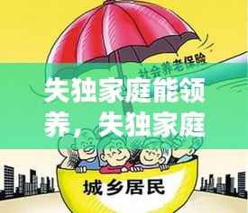 失独家庭能领养,失独家庭领养孩子政策