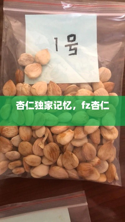 杏仁独家记忆,fz杏仁