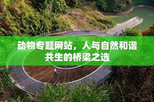 动物专题网站,人与自然和谐共生的桥梁之选