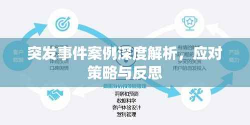 突发事件案例深度解析,应对策略与反思