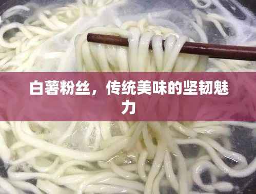 白薯粉丝,传统美味的坚韧魅力