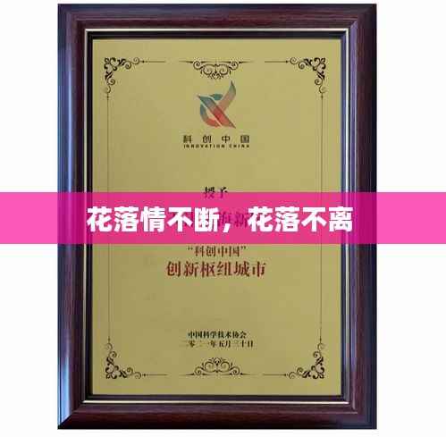 花落情不断,花落不离