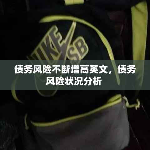 债务风险不断增高英文,债务风险状况分析