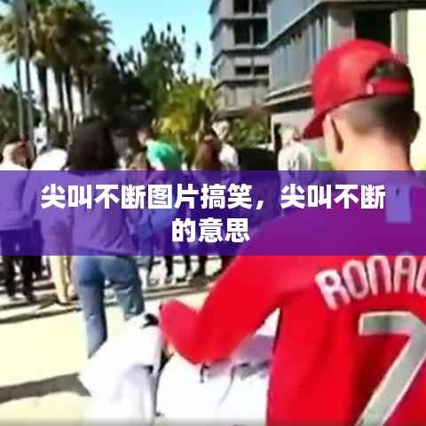 尖叫不断图片搞笑,尖叫不断的意思