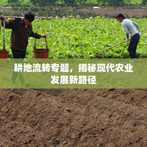 耕地流转专题,揭秘现代农业发展新路径