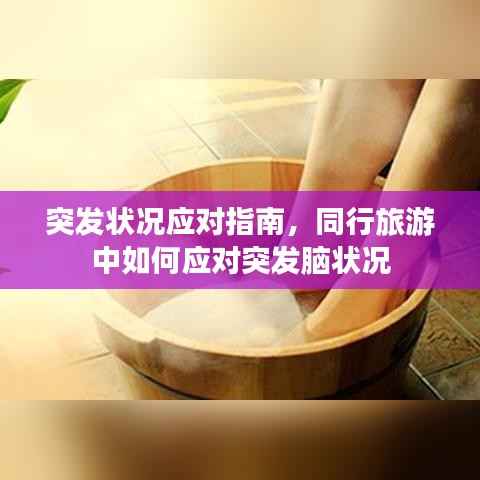 突发状况应对指南,同行旅游中如何应对突发脑状况