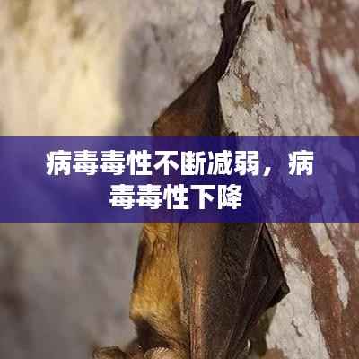 病毒毒性不断减弱,病毒毒性下降