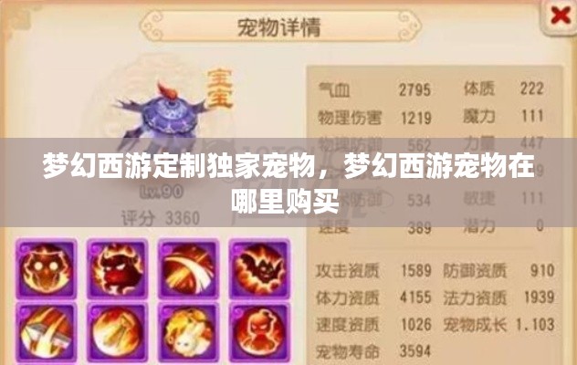 梦幻西游定制独家宠物，梦幻西游宠物在哪里购买 