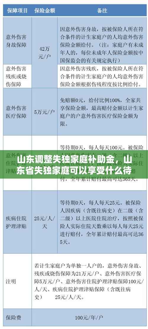山东调整失独家庭补助金,山东省失独家庭可以享受什么待遇