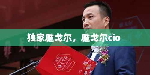 独家雅戈尔,雅戈尔cio