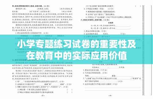 小学专题练习试卷的重要性及在教育中的实际应用价值