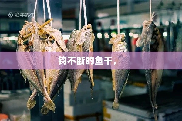 龙飞九五