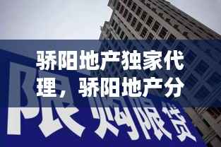 骄阳地产独家代理,骄阳地产分家了