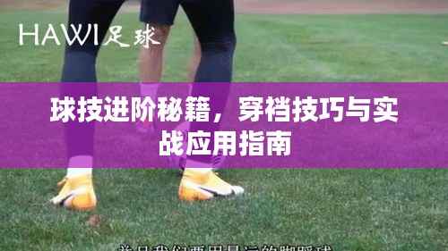球技进阶秘籍,穿裆技巧与实战应用指南