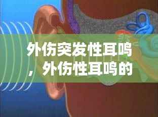 外伤突发性耳鸣，外伤性耳鸣的成因 