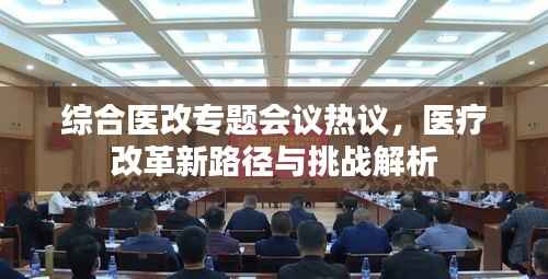 综合医改专题会议热议，医疗改革新路径与挑战解析