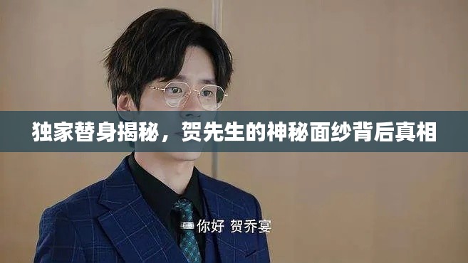 独家替身揭秘,贺先生的神秘面纱背后真相