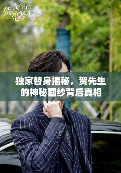 独家替身揭秘,贺先生的神秘面纱背后真相