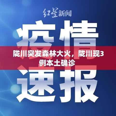 陇川突发森林大火,陇川现3例本土确诊
