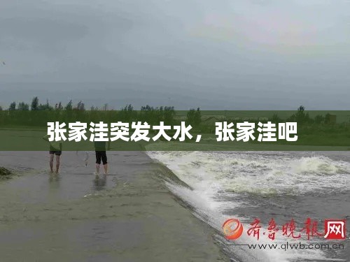 张家洼突发大水,张家洼吧