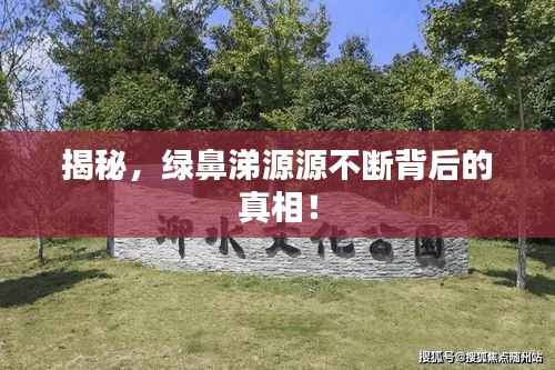 揭秘,绿鼻涕源源不断背后的真相!