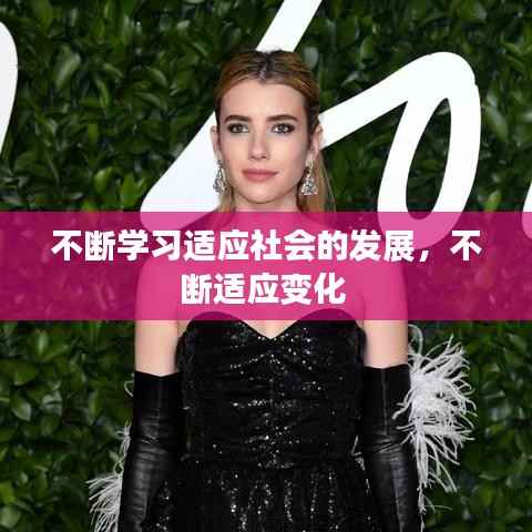 不断学习适应社会的发展,不断适应变化