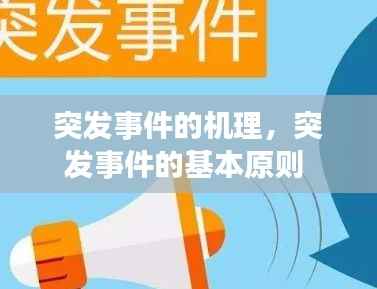 突发事件的机理,突发事件的基本原则
