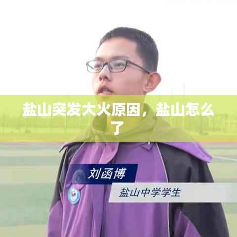 盐山突发大火原因,盐山怎么了