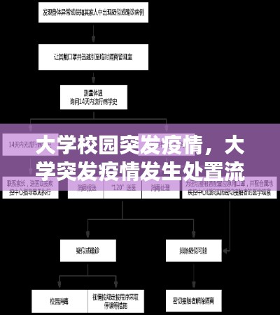大学校园突发疫情,大学突发疫情发生处置流程