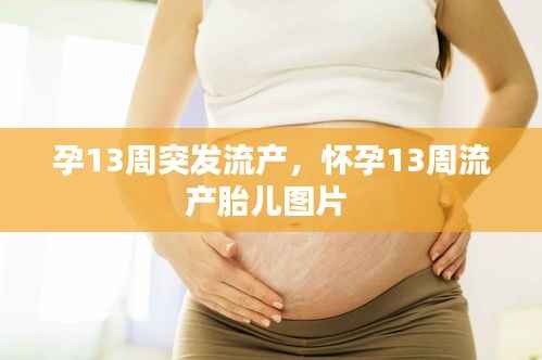 孕13周突发流产,怀孕13周流产胎儿图片