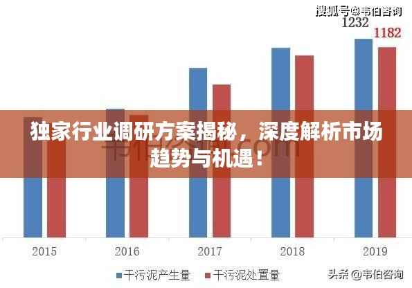 独家行业调研方案揭秘,深度解析市场趋势与机遇!