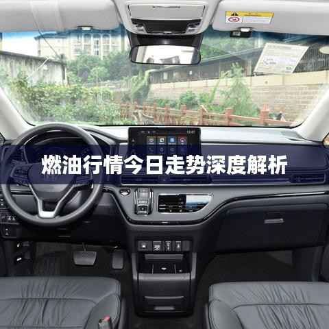 燃油行情今日走势深度解析