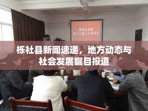 栎社县新闻速递,地方动态与社会发展瞩目报道