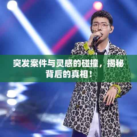 突发案件与灵感的碰撞,揭秘背后的真相!