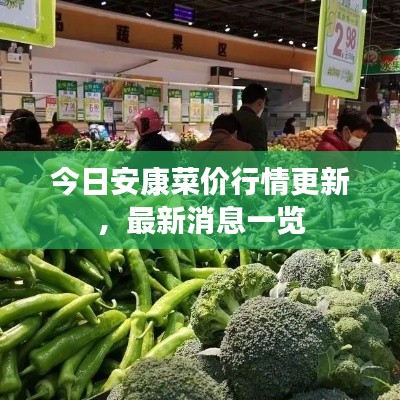 今日安康菜价行情更新,最新消息一览
