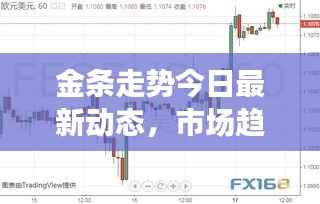 金条走势今日最新动态,市场趋势及前景展望