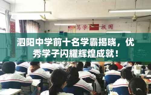 泗阳中学前十名学霸揭晓,优秀学子闪耀辉煌成就!