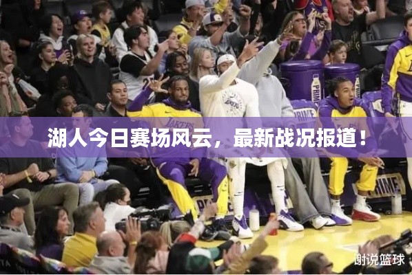 湖人今日赛场风云,最新战况报道!