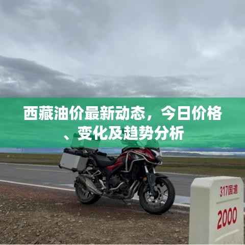 西藏油价最新动态,今日价格、变化及趋势分析